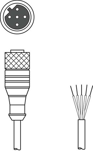 Artikelbild