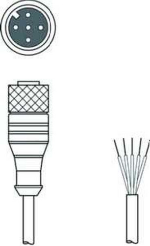 Artikelbild