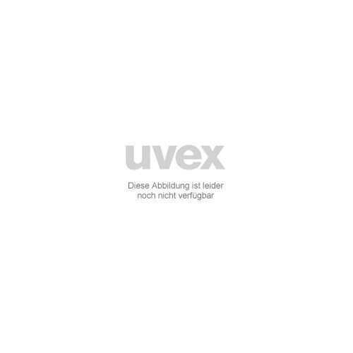 Schuhspray 9698/3 125 ml desinfizierend UVEX